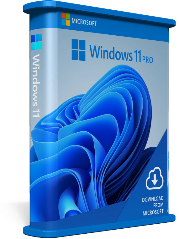 Windows 11 Pro software box