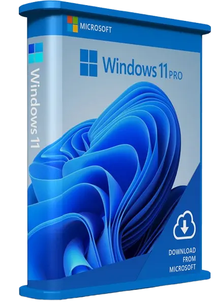 Windows 11 Pro software box