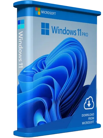 Windows 11 Pro software box