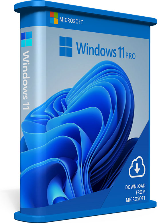 Windows 11 Professional software box